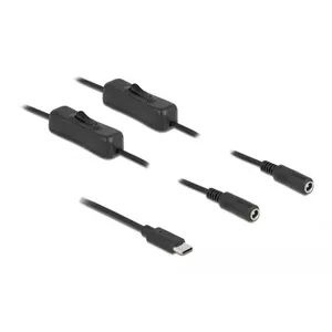 Cable USB Type-C male to 2 x DC 5.5 x 2.1 mm female with switch DeLOCK 86800