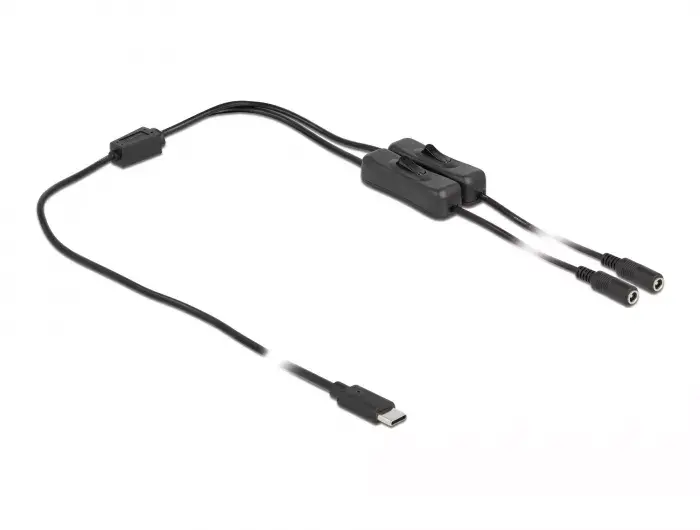 Cable USB Type-C male to 2 x DC 5.5 x 2.1 mm female DeLOCK 86800 Photo 2