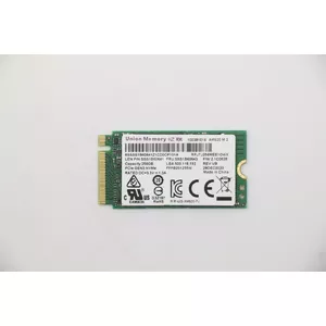 SSD disk Lenovo 256GB PCIe 2242 M.2 5SS1B60643