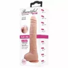 Dildo BAILE D-229709 Photo 9