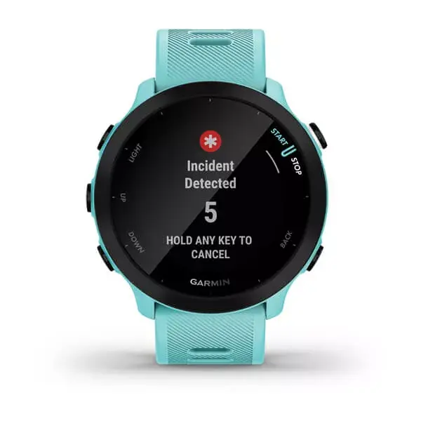 Viedpulkstenis Garmin Forerunner 55 Photo 7