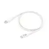 USB 3.2 Gen 1 Type-C to A Cable Equip 128363 Photo 2