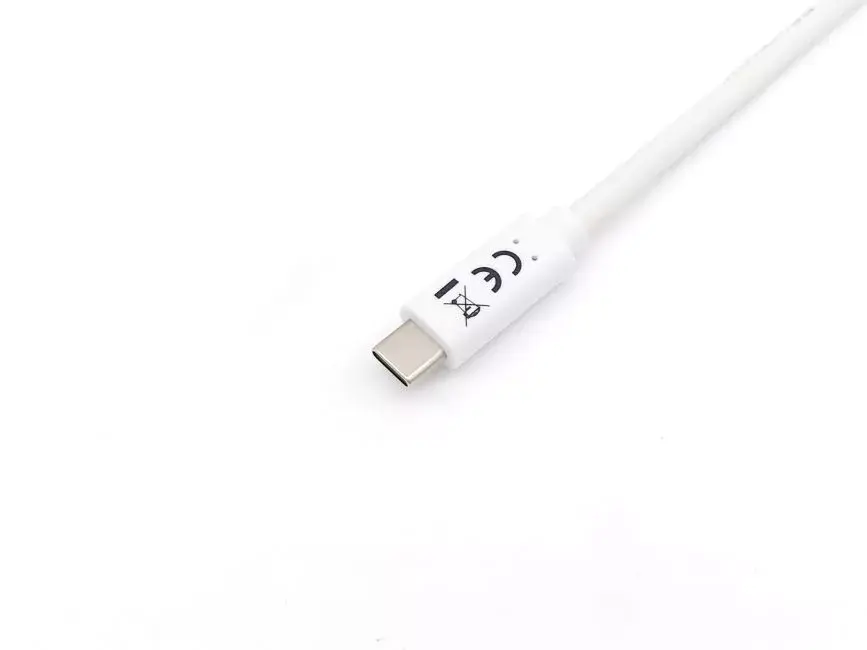 USB 3.2 Gen 1 Type-C to C Cable Equip 128362 Photo 2