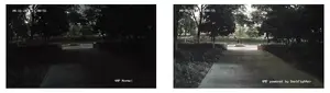 Colorful Imaging, Even in Low Light