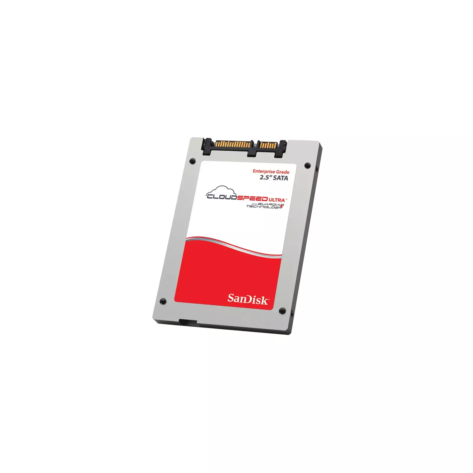 SANDISK SDLFOEAM-100G-1HA1 Photo 1