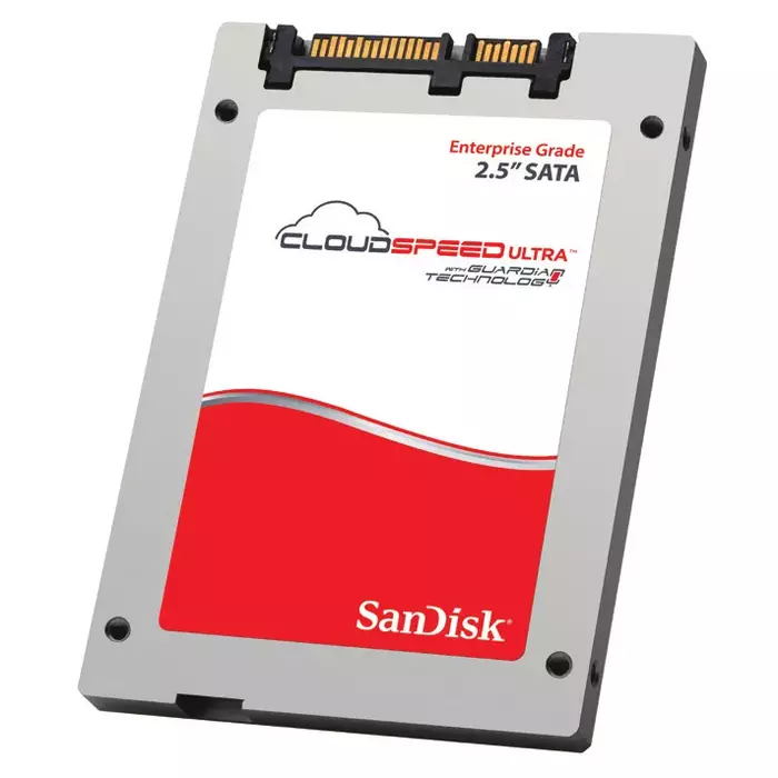 SANDISK SDLFOEAM-100G-1HA1 Photo 1