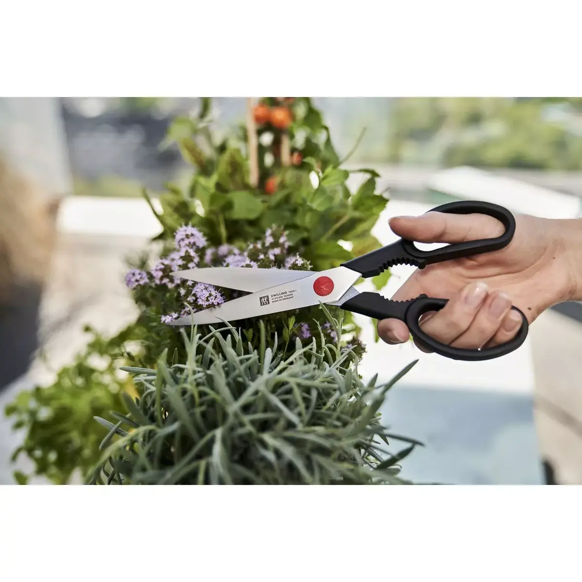 Virtuves šķēres ZWILLING TWIN L 230 mm Photo 2