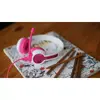 Наушники buddy phones StudyBuddy 740026 Photo 5