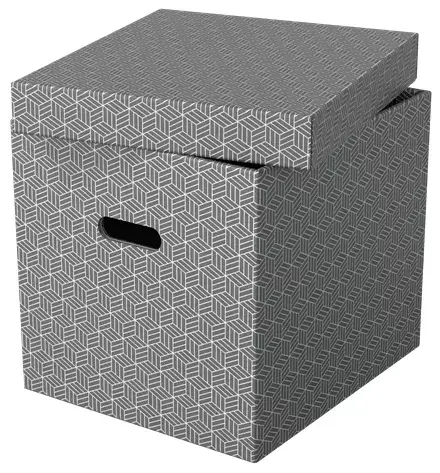 Storage box Esselte 628289 Photo 2