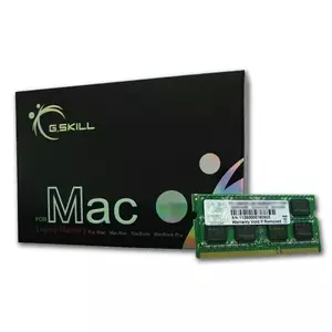 Atmiņas modulis G.Skill DDR3 4GB 1066MHz