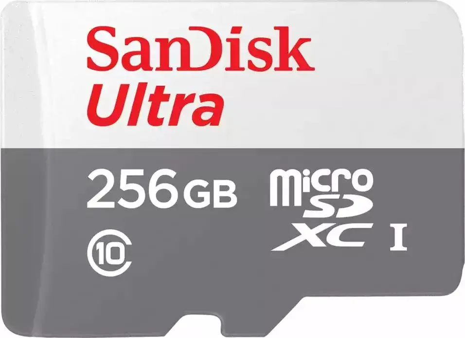 SANDISK SDSQUNR-256G-GN3MN Photo 2
