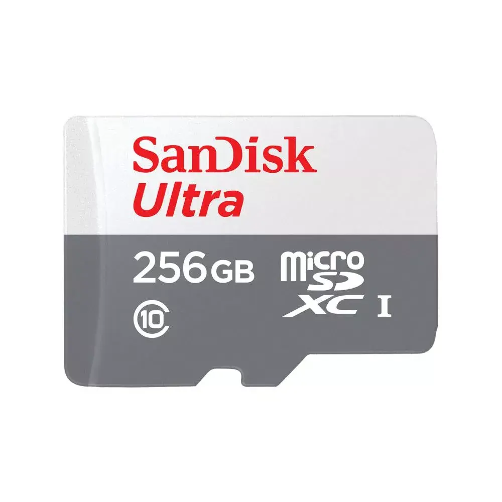 SANDISK SDSQUNR-256G-GN3MN Photo 4