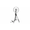Lampa Cullmann Alpha 1000 Photo 6