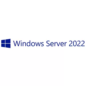 Client Access License (CAL) for Microsoft Windows Server 2022 — OEM license