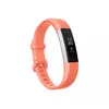 Fitbit FB408SCRL-EU Photo 3