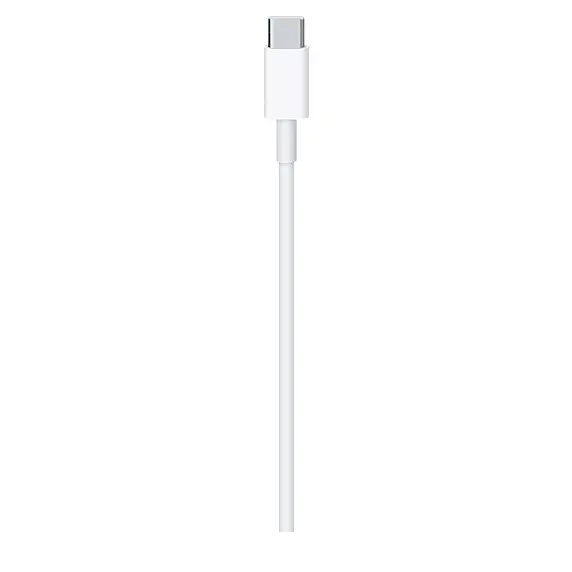 Кабель USB-C Apple MLL82ZM/A_Bulk Photo 2