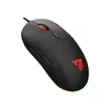 Pele Savio Gambit Gaming Photo 2