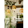 LED bulb Segula 55058 Photo 2