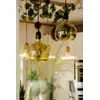 LED bulb Segula 55058 Photo 4