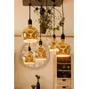 LED bulb Segula 55058 Photo 5