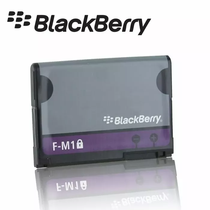 BLACKBERRY F-M1 Photo 1