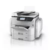 Epson C11CF34401BR Photo 4