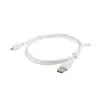 USB кабель Lanberg CA-USBM-10CC-0010-W Photo 2