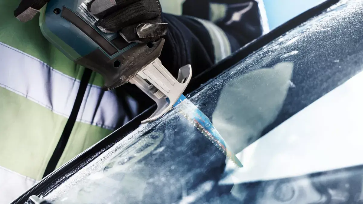 Полотно сабельной пилы Bosch 2 608 900 378 Photo 4