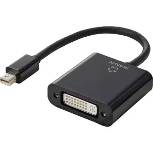 Video Cable Adapter Renkforce RF-4769258 0.15m Mini DisplayPort DVI