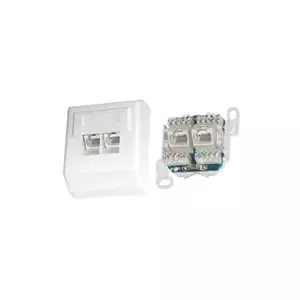 LYNX PXO-22-C5E Surface Mounted UTP 2x RJ45 Cat5E Socket with Krone Termination