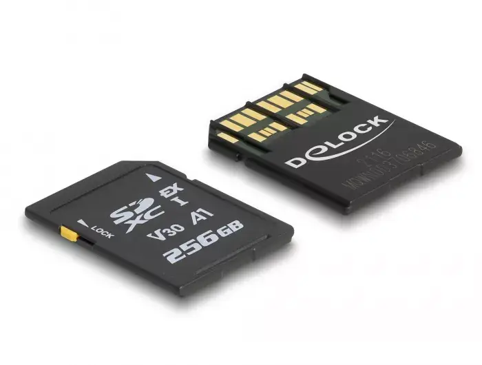 Memory Card DeLOCK 256GB 54091 Photo 2