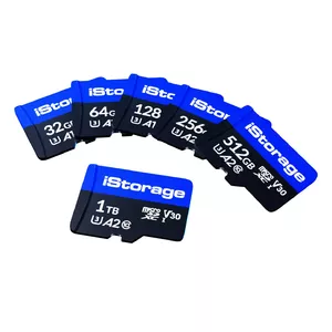 Flash Memory iStorage 256GB MicroSDXC UHS-III IS-MSD-1-256