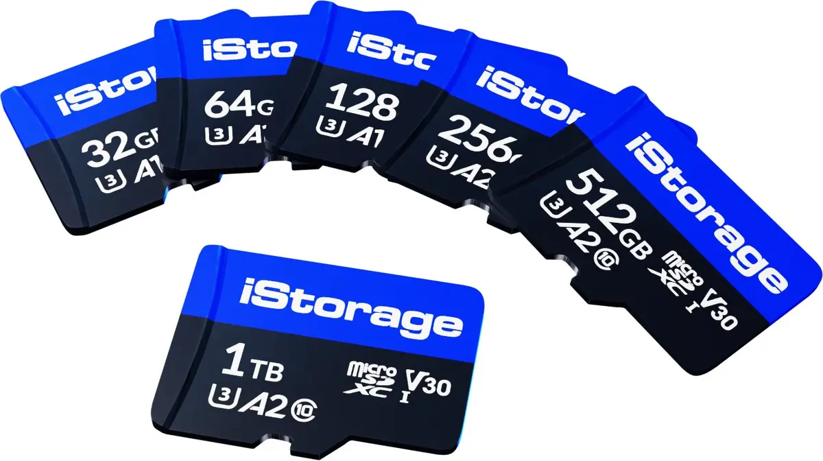 Flash Memory iStorage 256GB IS-MSD-1-256 Photo 2