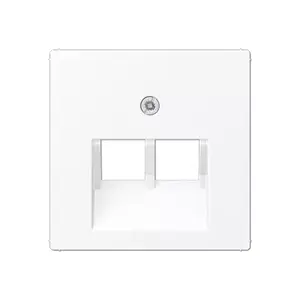 Wall plate / switch cover Jung A569-2BFPLUAWWM white matte, 1 pc