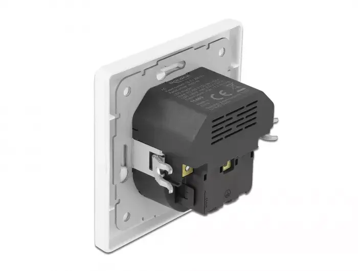 DeLOCK 11489 Socket Outlet CEE 7/3 + USB Photo 2