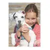 LEITZ iLAM UDT laminēšanas maisiņi 254×355 mm Photo 2