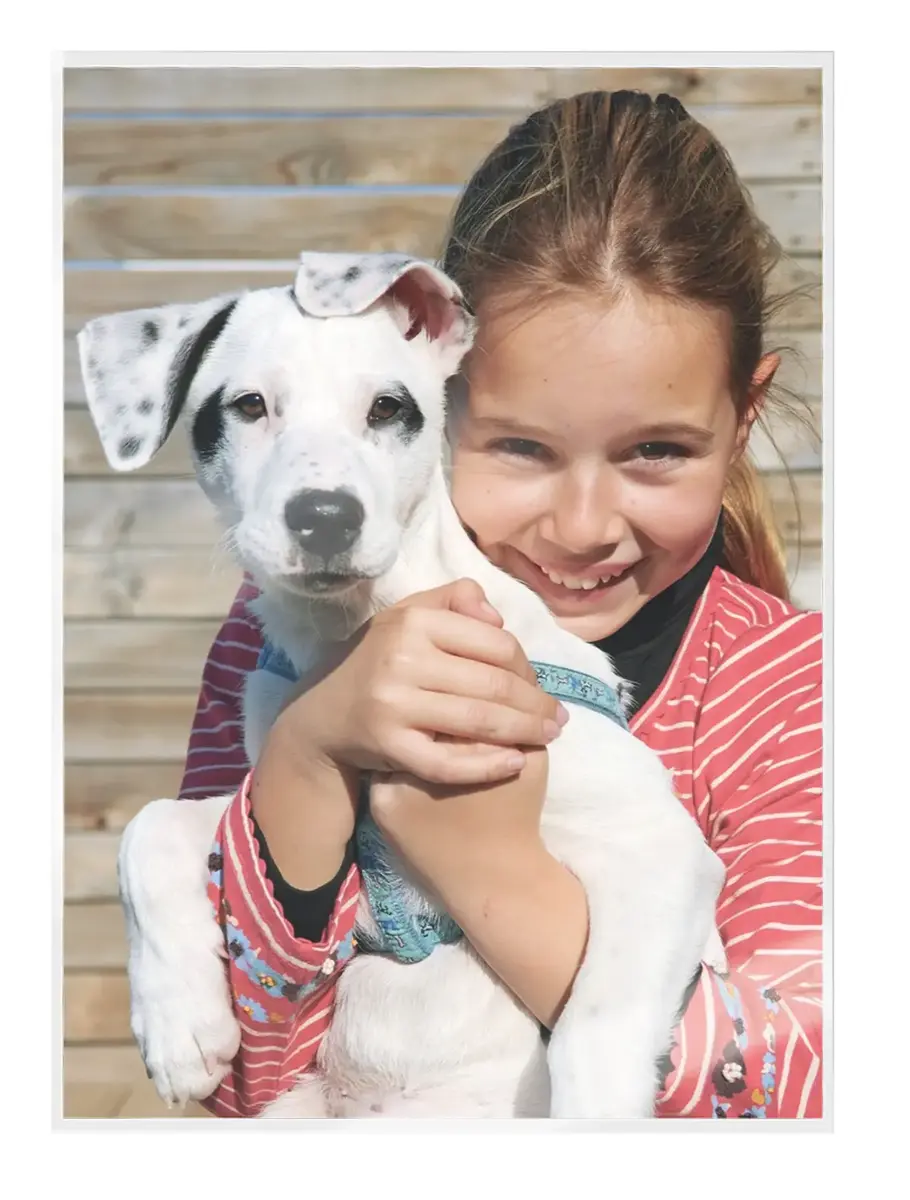 Leitz iLAM Ultra-premium Glossy A4 Laminating Pouches Photo 2