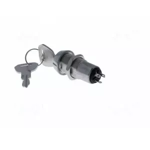 Switch (key) Stabl.pos:2 ON-ON Flat Key – EB245495197#