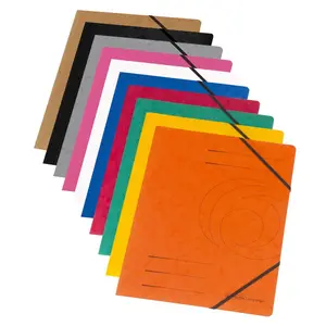 Folder Cardboard Assorted colours A4 Herlitz 11166816