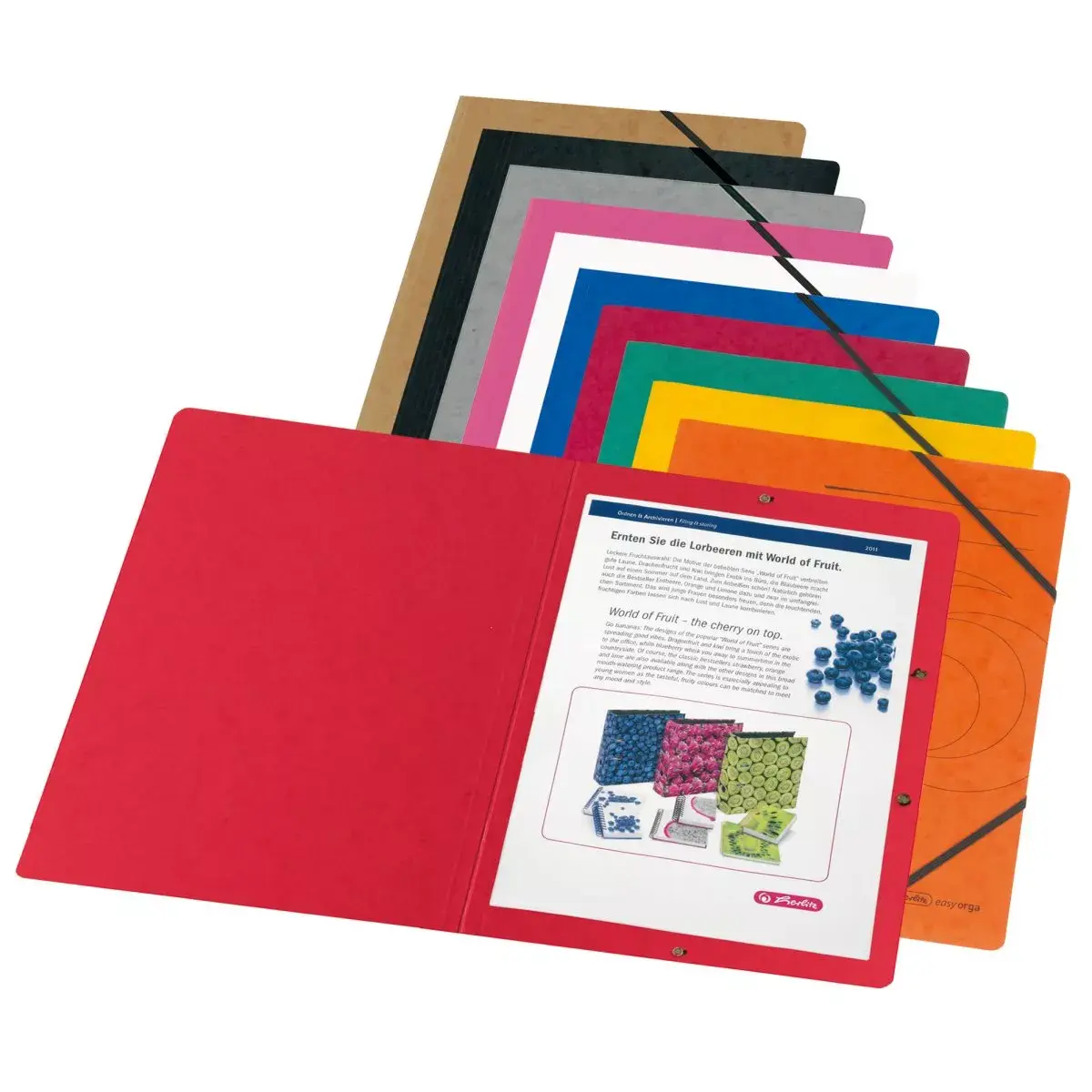 Mape Kartons A4 Herlitz 11166816 Photo 7