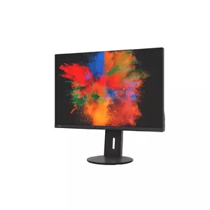 Fujitsu Displays B2410 WS monitori 61,2 cm (24.1") 1920 x 1200 pikseļi WUXGA LED Melns