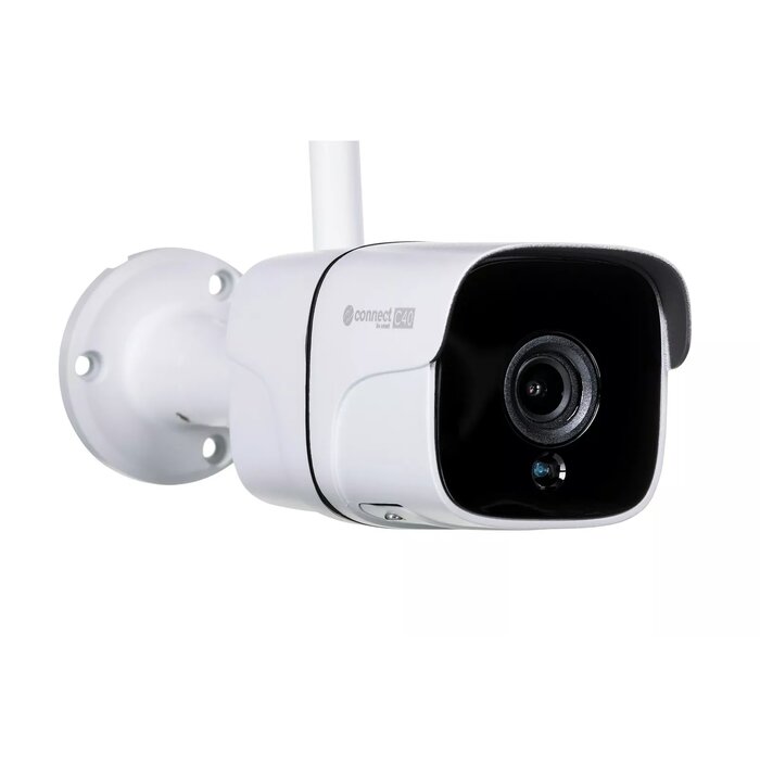 IP Cameras