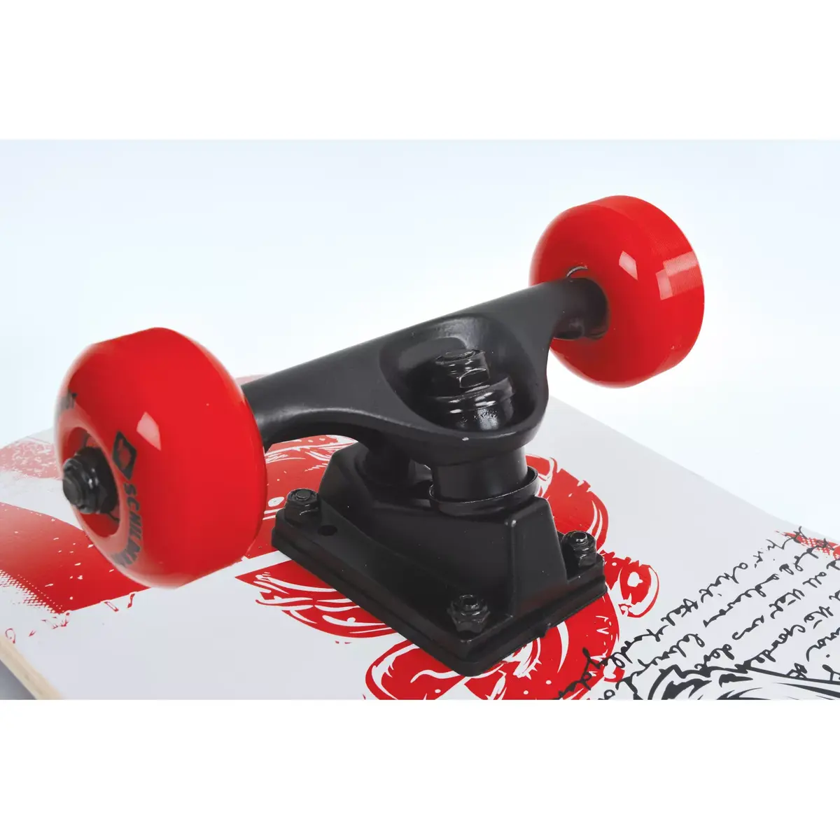 Skateboard Schildkröt Grinder 31 Photo 2