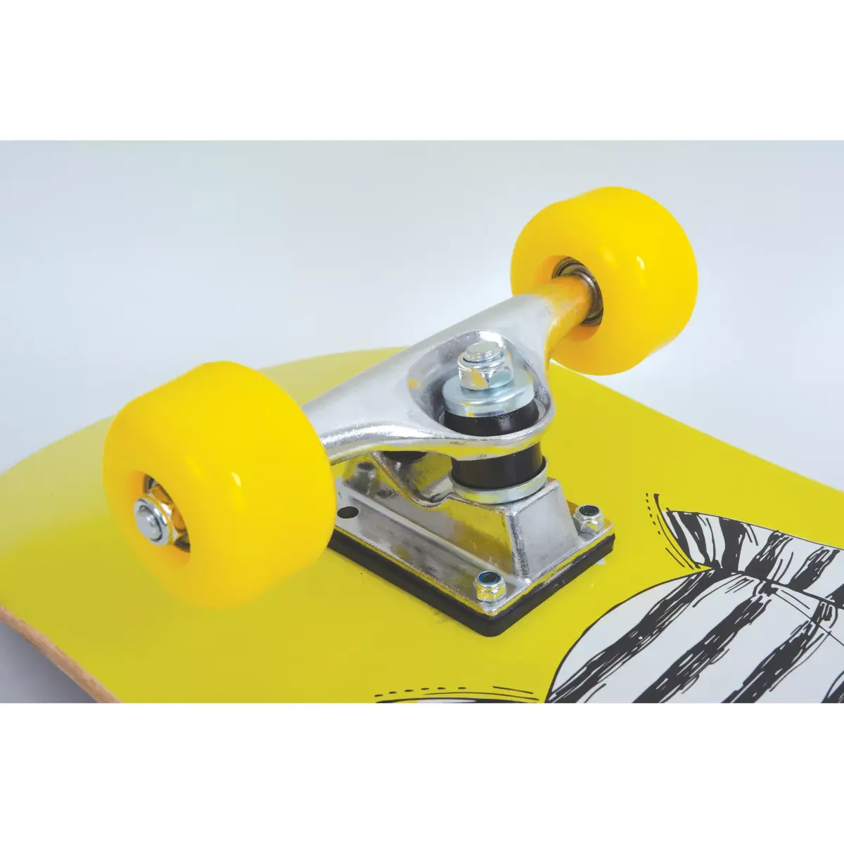 Skatebords Schildkröt Funsports Kicker 31 Photo 2