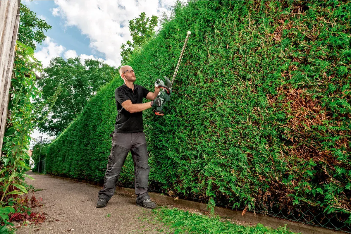 Hedge Trimmer Metabo AHS 18-65 V Photo 5