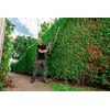 Hedge Trimmer Metabo AHS 18-65 V Photo 5
