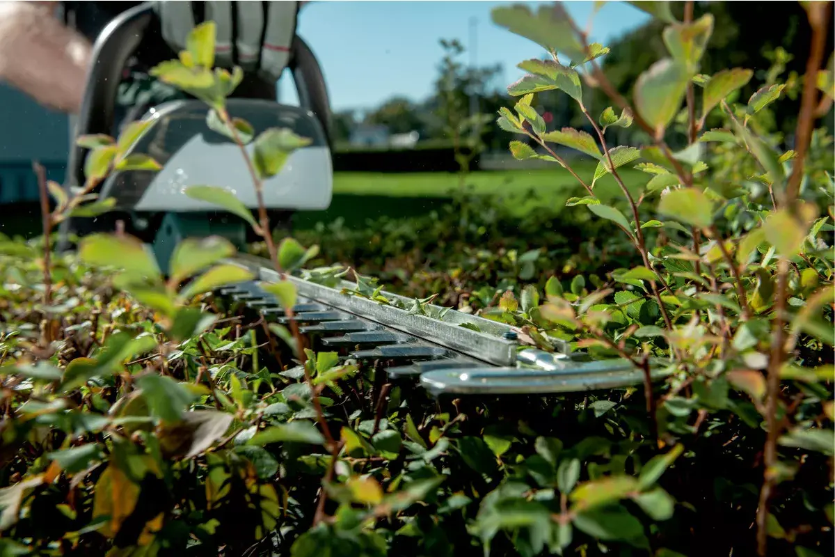 Hedge Trimmer Metabo AHS 18-65 V Photo 9