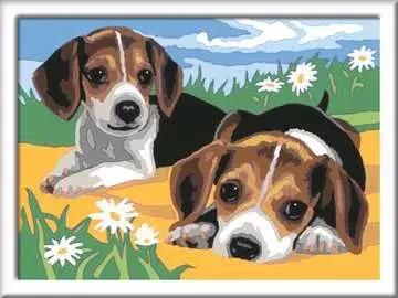 Ravensburger CreArt Jack Russell Puppy — набор по номерам Photo 2