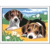 Ravensburger CreArt Jack Russell Puppy — набор по номерам Photo 2