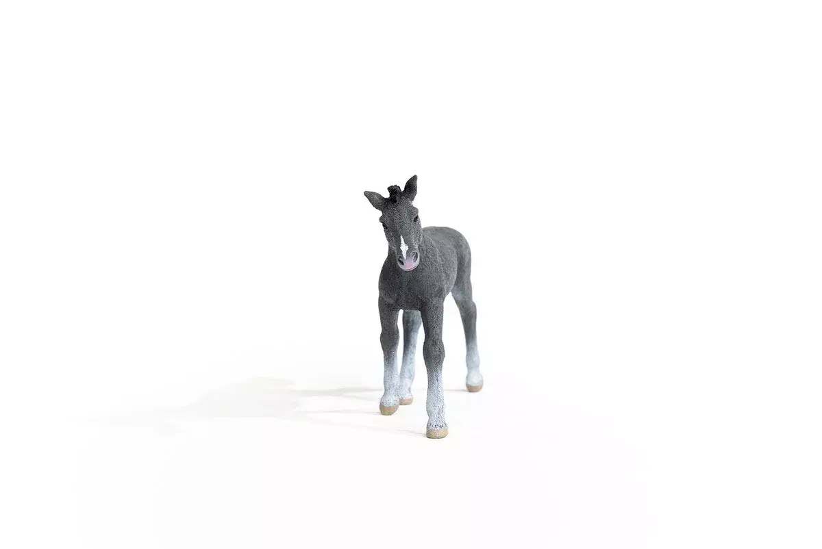 Zirga figūra Schleich Trakehner kumeļš Photo 5